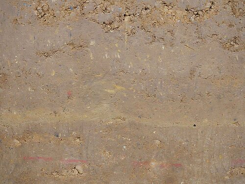 Schadstoffelimination durch gezielte Interaktion von Lehmoberflächen mit Mikroorganismen