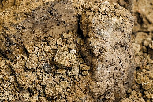 Nutzbarmachen von regionalen Lehmvorkommen für die Entwicklung von Baustoffen am Beispiel der Region Leipzig